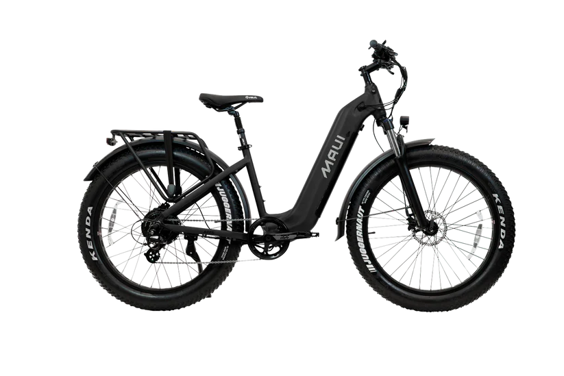 Step Thru Fat Bronte 