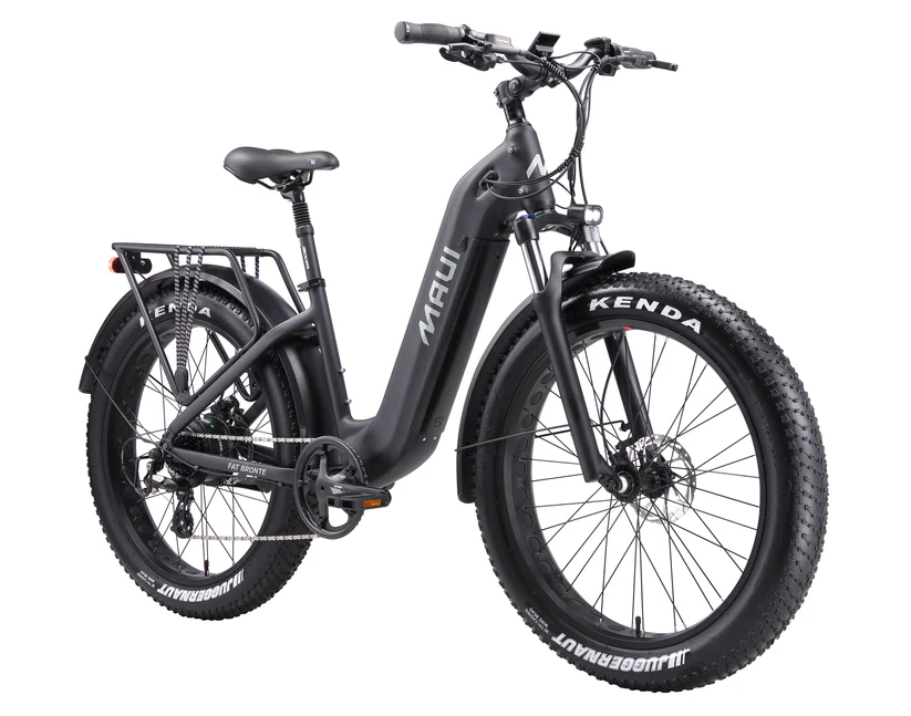 Step Thru Fat Bronte 