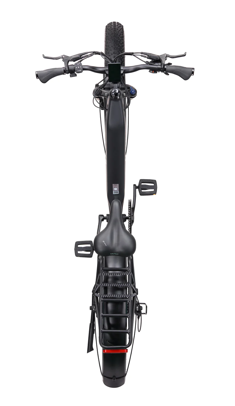 Step Thru Fat Bronte 